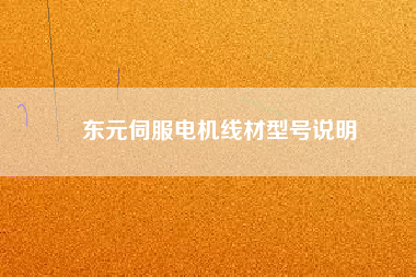 Ԫ<a href='http://teco-china.cn/Product/sifudianji/' target='_blank'>ŷ</a>߲ͺ˵